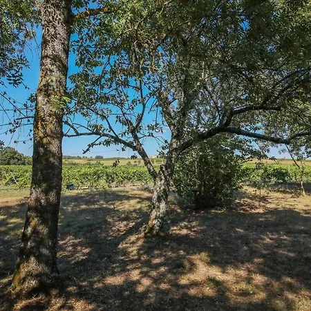 Maison Vigneronne - Calme - 140m2 - Gaillac 펜션 *