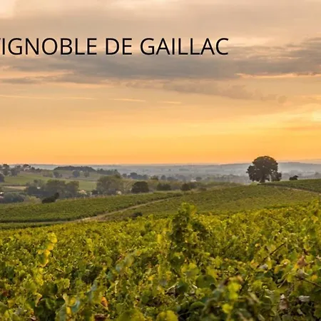 펜션 Maison Vigneronne - Calme - 140m2 - Gaillac