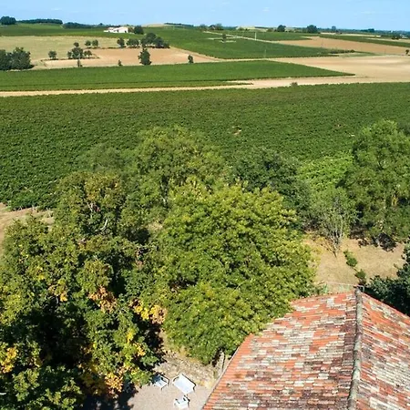 Maison Vigneronne - Calme - 140m2 - Gaillac 펜션 *